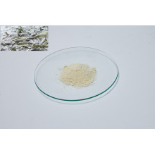 Professional soy lecithin powder