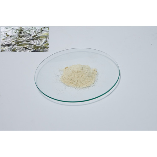 Professional soy lecithin powder