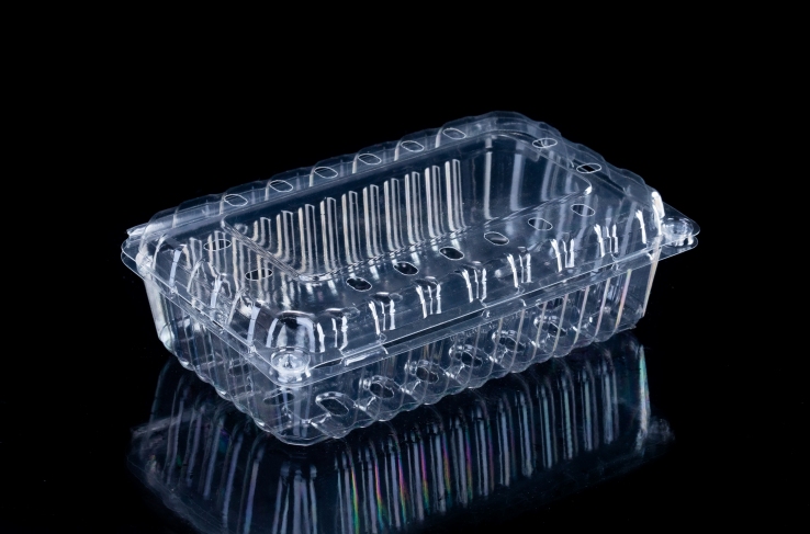 Elegant and Attrative Clear Plastic Fruit Box