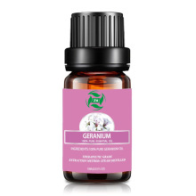 Geranium Essential Essential Oil