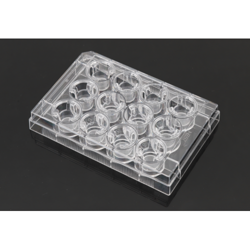 PET Memberane Cell Culture Inserts for 12-well plates