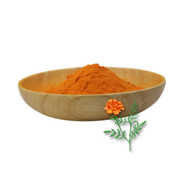 Pure grade lutein marigold extract powder