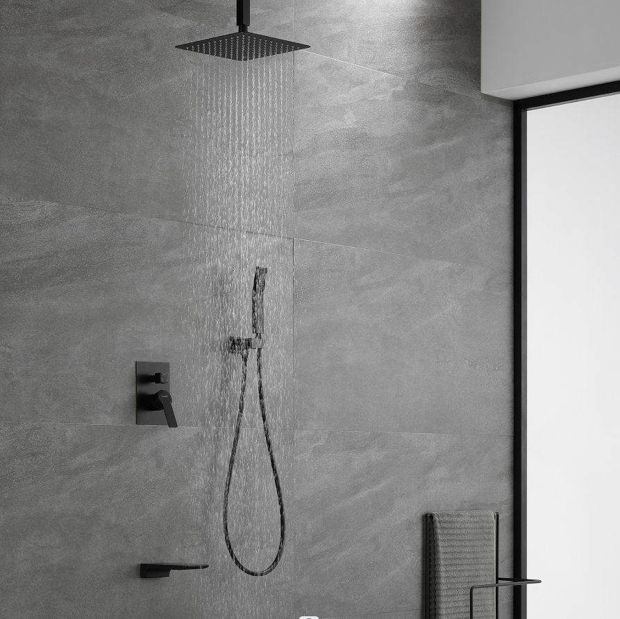 Ceiling shower system 3