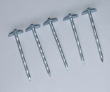 Twisted Shank Roofing Nails