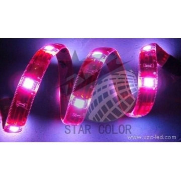 12V LED Strip Lights