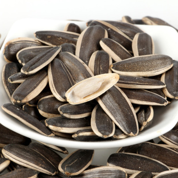 non gmo sunflower seeds 363