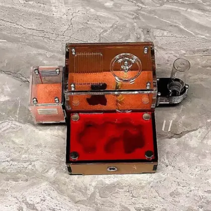 Ant Breeding Formicarium for School Science Popularization