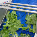 Máquina de limpeza de vegetais comercial e industrial