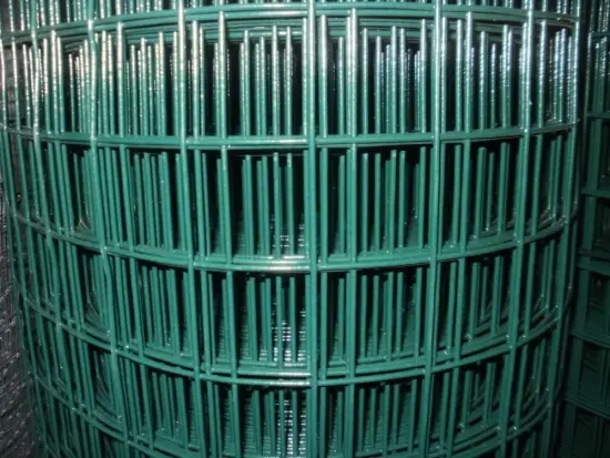 PVC Coated Welded Wire Mesh Fencing