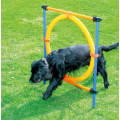 Equipo de entrenamiento de ejercicios de agilidad para perros