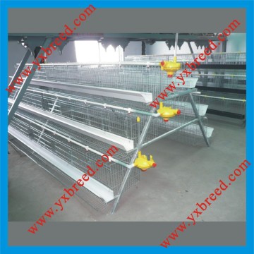 Layer Cages