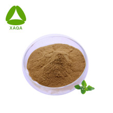 Peppermint Leaf Extract Powder 10:1