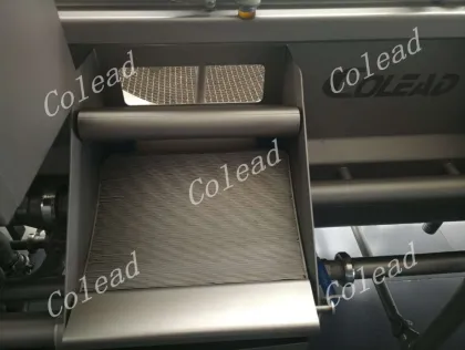 Bean sprout washing machine/vegetable processing machine