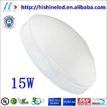 LED ceiling light 15W,sketchy style,poetic life