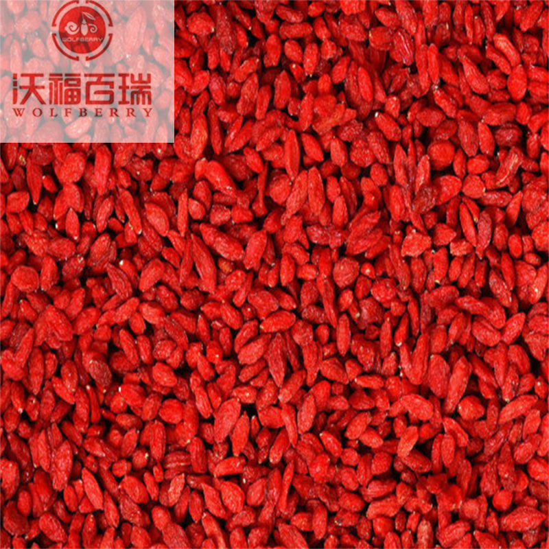 Bacche di goji / bacche di goji biologiche / bacche di goji essiccate