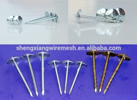 High quality Galvanized Umbrella Head Roofing Nails (20 years factory, Anping shengxiang)