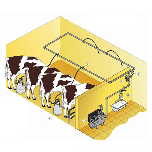 KLN Fixed Pipeline Vacuum Single Milking Machine for Cows
