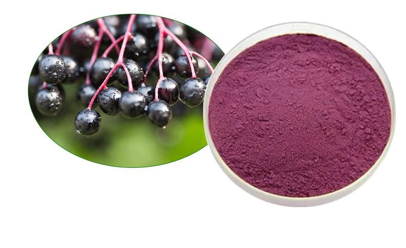 High-quality food-grade elderberry powder