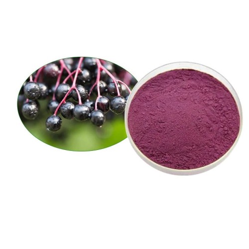 Black Elderberry Extract for Immune Support