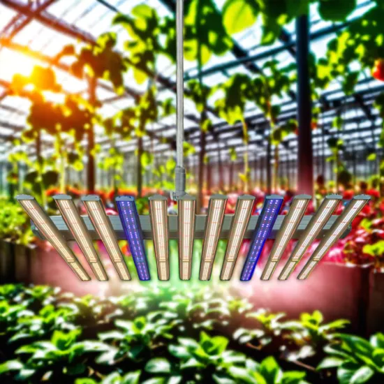 Factory Supply Dimmable 1060W LED Grow Light for Greenhouse Planting