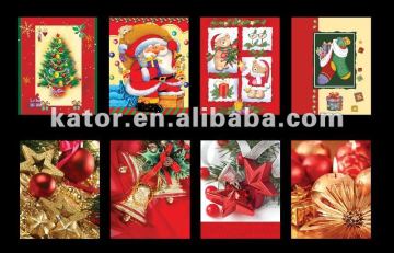 PP Christmas GIFT bag