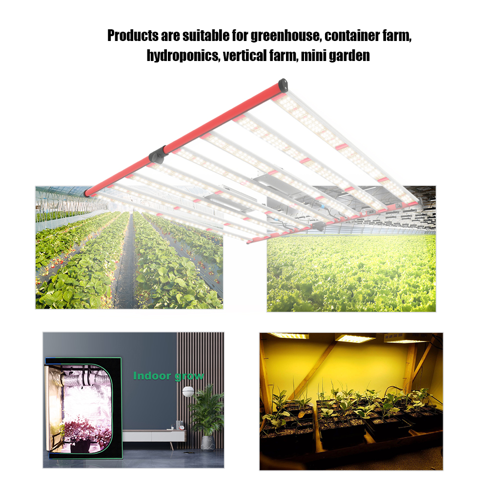 led grow light for indoor plants