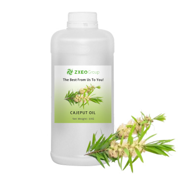 Cajeput Essential Oil | Melaleuca Leucadendron Cajuputi Oil - Pure and Natural Essential Oils - Wholesale Bulk Price