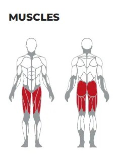 Commercial Prone leg curl