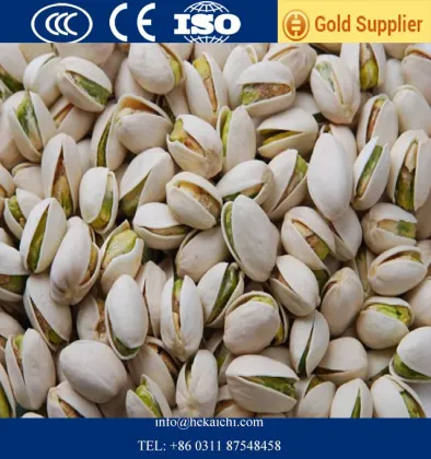 Chinese pistachio, iran pistachio for sale