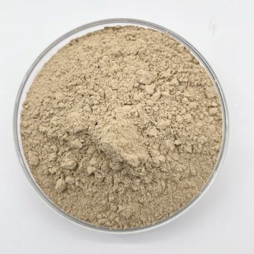 Aerobic Bacteria Powder BOD COD Ammonia Nitrogen Removal