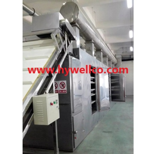 Vegetable Drying Machine/Mesh Belt Dryer