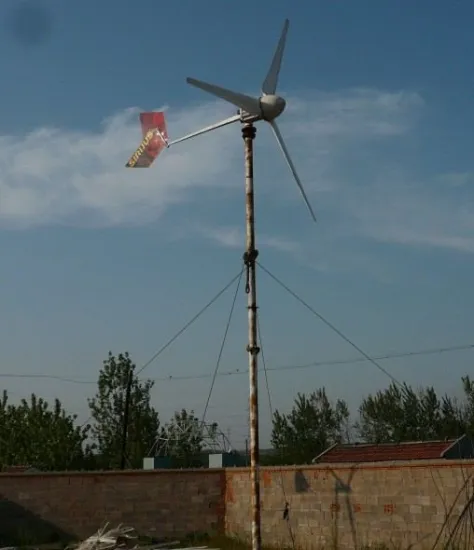 Wind Power Generator Type Wind Turbine Permanent magnet generator 2kw