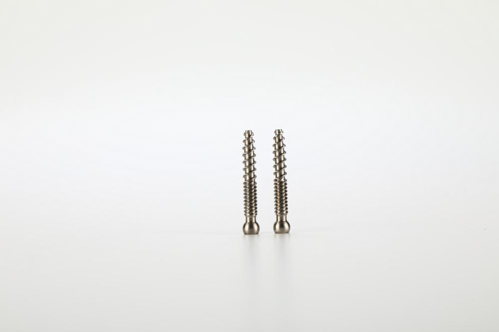 Spinal Fixation System Screw