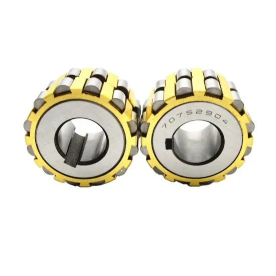 130752905K Speed Reducer Eccentric Roller Bearing 24*70*38mm Cylindrical Roller Bearing