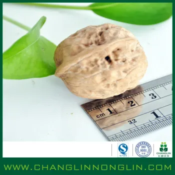 organic food alibaba golden supplier crushed walnut shells