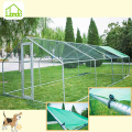 Outdoor Large a buon mercato Chicken Coop