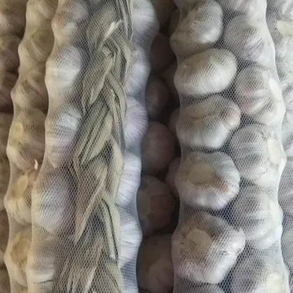 Fresh Braid Fresh Garlic