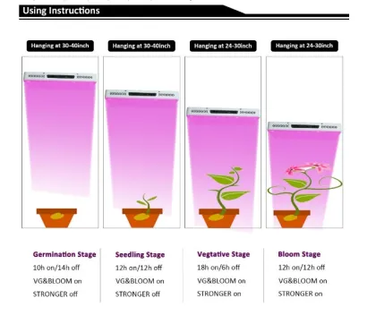 Greenhouse 2000w Led Grow Light Indoor Herb Garden