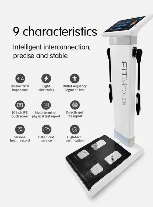 Professional 3D Body Scanner