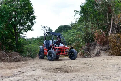 2024 150cc 4-Wheel Gasoline and Electric UTVs