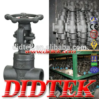 DIDTEK Forged Steel A105N Gate Valve