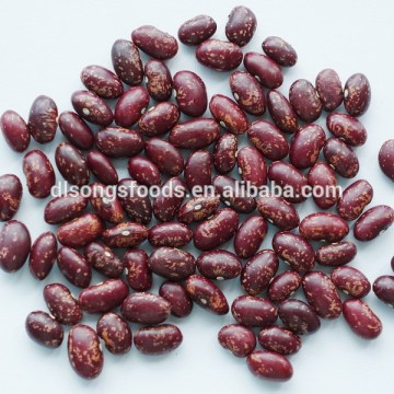 Purple Speckle Kidney Beans