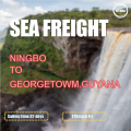 Frete oceânico de Ningbo para Georgetown Guiana