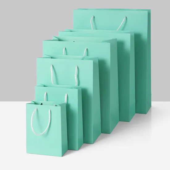 Custom Logo Shopping Bags with PP Handles - Paper Bags for Shopping