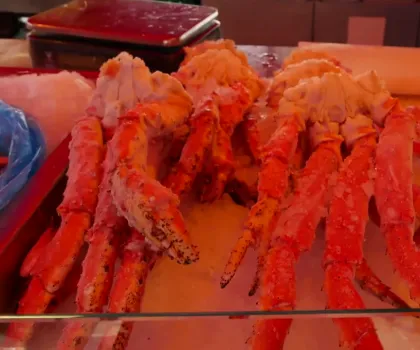 NORWEGIAN KING CRAB