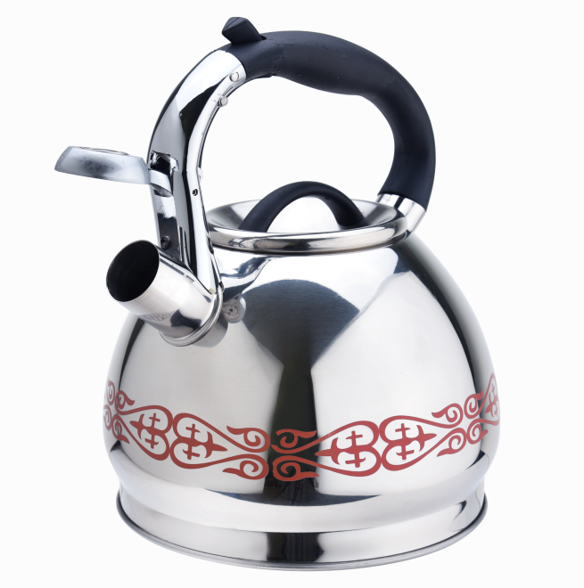 Stainless Steel Color Change Teapot Kettle