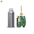 Bulk Organic Pharmaceutical Grade Eucalyptus Globulus Oil