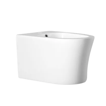European Standard Wall-Mounted Women's Toilet Bidet