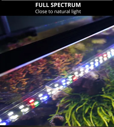 Aquatic plants adjustable bracket LED light