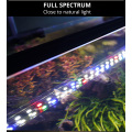 Luz LED de soporte ajustable de plantas acuáticas
